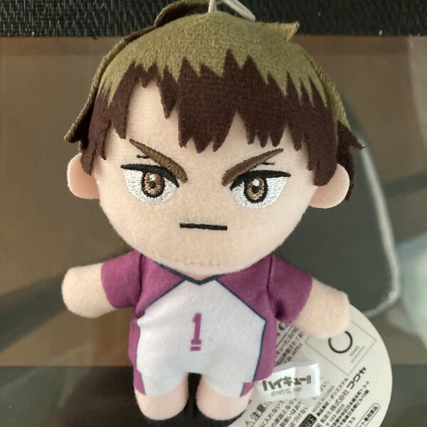 モーリーファンタジー 限定 ハイキュー !!ぬいぐるみ マスコット 牛島 若利 モーリー ハイキュー!!