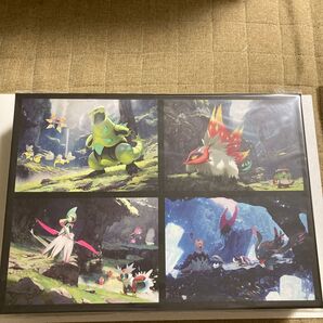 ポケモン 道具箱 STRANGE PARADOX 未使用