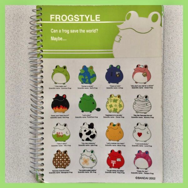 FROGSTYLE フロッグスタイル B5リングノート 平成レトロ ステーショナリー 当時物 リングノート 文房具