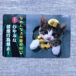 なめ猫 カード なめんなよ学園校則 なめんなよ学園 校則 なめんなよ 学園校則 その八 猫 ねこ なめ猫カード