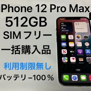 iPhone 12 Pro Max 512GB SIMフリー グラファイト 一括購入 残債無し 利用制限無し バッテリー100%