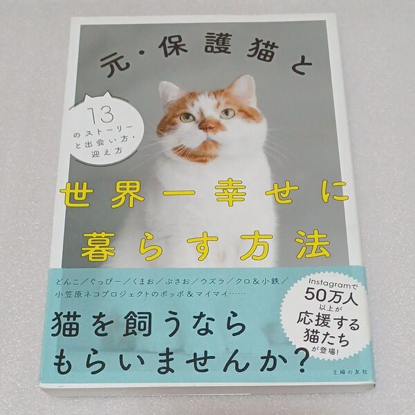 元・保護猫と世界一幸せに暮らす方法