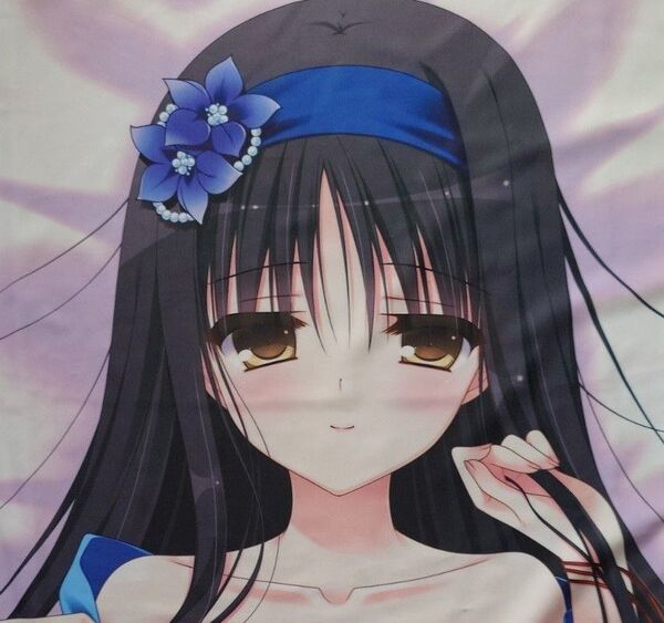 【正規品・中古】 抱き枕カバー リンドウ たにはらなつき スタイラス 華枕