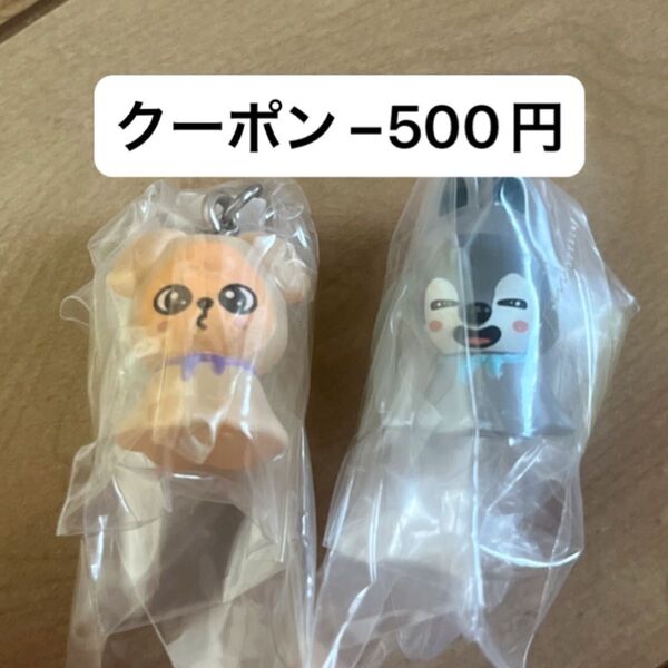 SKZOO めじるしアクセサリー バンチャン ウルフチャン スンミン パピーム