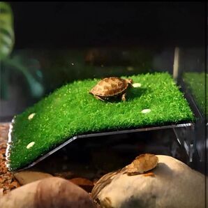 人工芝 飼育 シェルター 日光浴 亀 陸地 吸盤 浮島 カエル 水槽 爬虫類