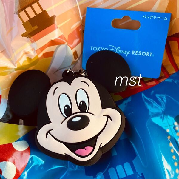 ディズニー ミッキー バッグチャーム コインケース シリコン キーホルダー キーチェーン 小物入れ