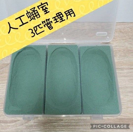【再販SALE】1280円→1200円 人工蛹室 3匹管理 クワガタ カブトムシ