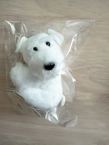 シュナとボブ シュナウザーぬいぐるみクリップ ハク