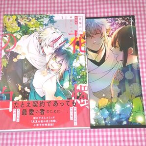 花燭の白 3 特装版 高山しのぶ