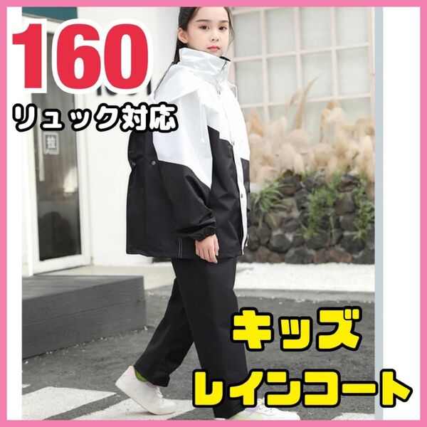 160cm キッズ レインコート レインスーツ 雨具 上下セパレート 白黒