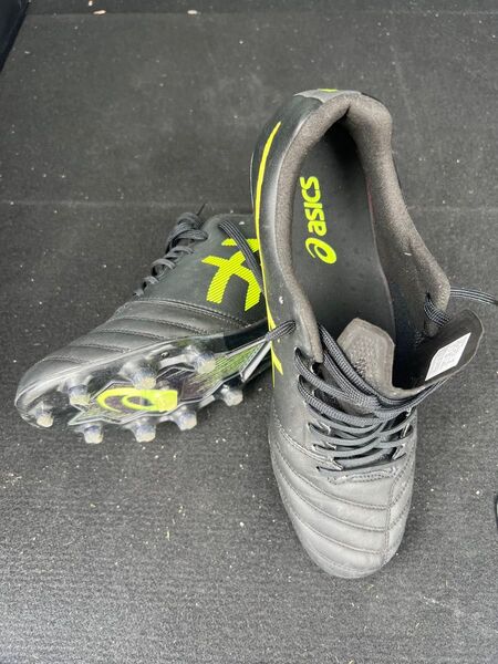 アシックス DS LIGHT X-FLY PRO 26.0cm