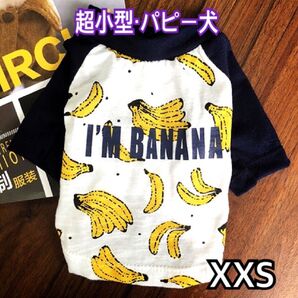 犬服 猫服 ペット服 超小型 パピー犬 春夏秋用 バナナTシャツ:XXS