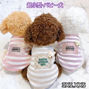 犬服 猫服 ペット服 超小型 パピー犬 春夏 ボーダータンク:3XS.XXS