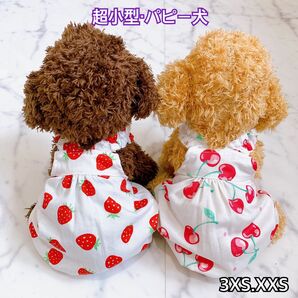 犬服 ペット服 超小型 パピー犬 春夏用 バルーンワンピ:3XS.XXS