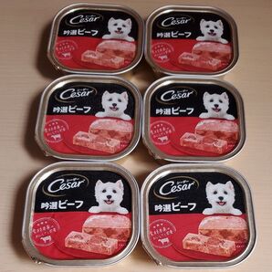 シーザー 吟選ビーフ ふわふわローフタイプ 100g×6個 MARS ウェットフード ドッグフードシーザー
