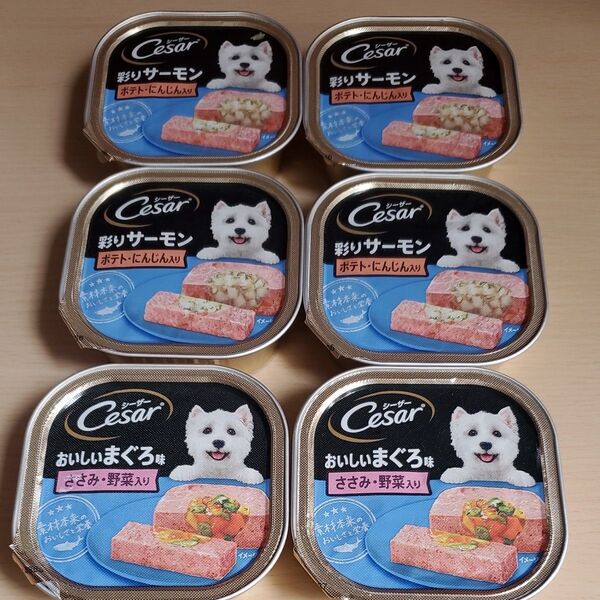 シーザー サーモン風味 ポテトとにんじん入り 100g×4個&おいしいまぐろ味 2個 MARS ウエットフード 野菜入りシーザー