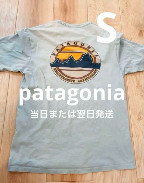 【当日または翌日発送】 パタゴニア バックプリント Tシャツ