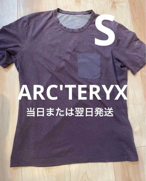 【当日または翌日発送】 アークテリクス 紫色 Tシャツ S/P
