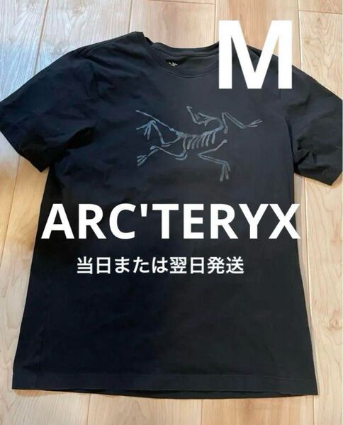 【当日または翌日発送】 アークテリクス ARCHAEOPTERYX Tシャツ 2枚セット