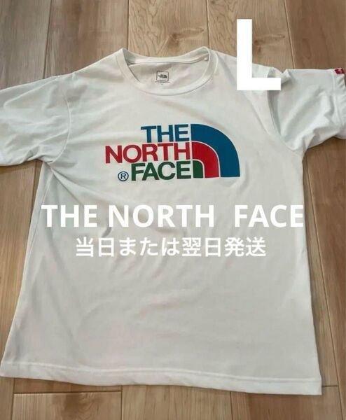 【当日または翌日発送】 ノースフェイス Tシャツ Lサイズ ホワイト