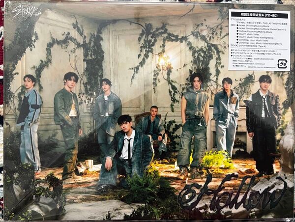 初回生産限定盤A オリジナルジャケットトールケースサイズデジパック仕様他封入特典 Stray Kids CD+Blu-ray