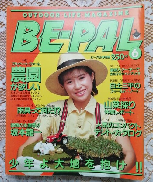 BE-PAL ビーパル 雑誌 まとめ売り1983年度 全巻 12冊セット