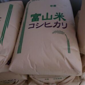 【富山県 農家直送】令和6年産 コシヒカリ 保冷庫保管 無洗米仕上げ 5kg