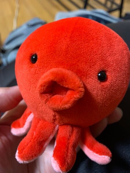 たこのぬいぐるみ