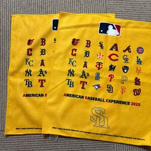 2枚です 福岡ソフトバンクホークス来場者配布ラリータオル