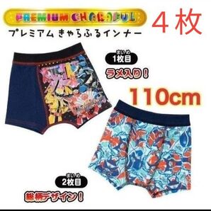 ボクサーパンツ ボクサーブリーフ 110cm 2枚組×2セット