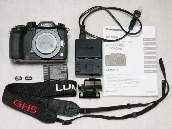 Panasonic LUMIX GH5 ボディ 純正 バッテリー DMW-BLF19 充電器 DMW-BTC10 DC-GH5