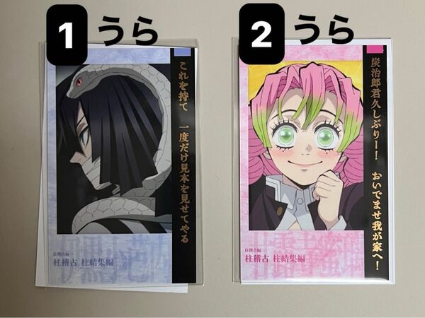 鬼滅の刃 柱稽古編 両面チェキ風ブロマイド2枚セット 伊黒小芭内、甘露寺蜜璃、竈門炭治郎