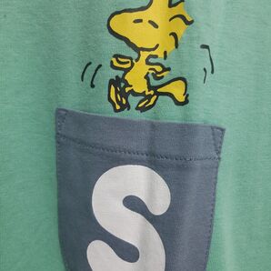 SNOOPY ポケットTシャツ ウッドストック グリーン 2L~3L