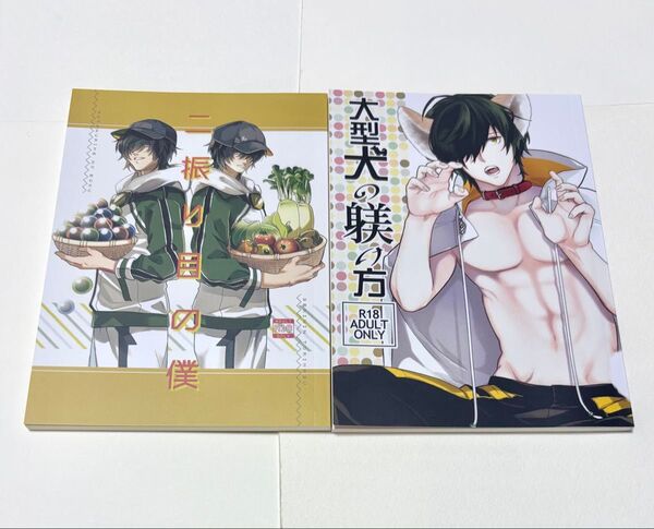同人誌 刀剣乱舞 女審神者