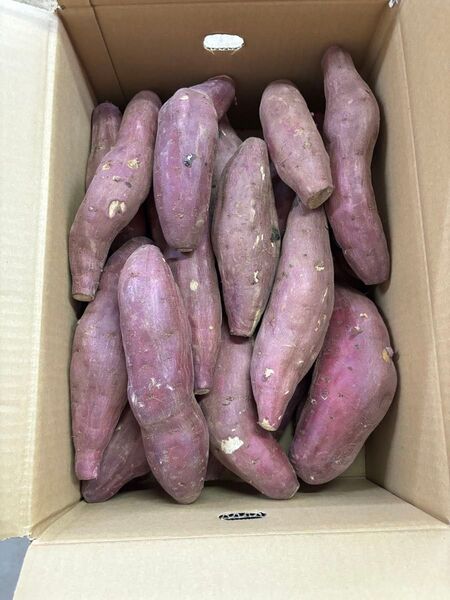農薬不使用 Lから2Lサイズ 紅はるか約10キロ