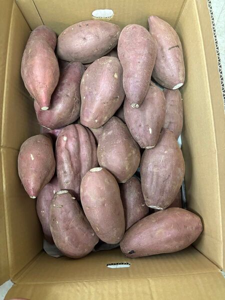 農薬不使用 Lから2Lサイズ 紅はるか約10キロ
