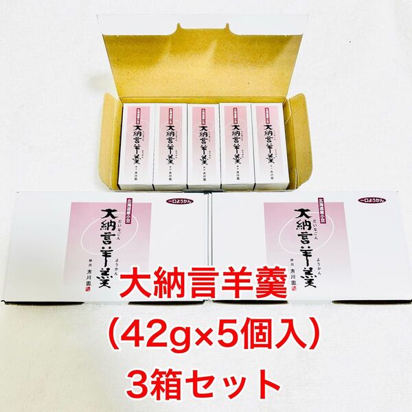 大納言羊羹(42g×5個入)×3箱 合計15個 羊羹 ようかん