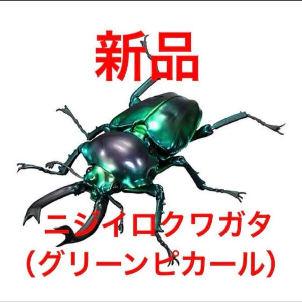 ニジイロクワガタ(グリーンピカール)いきもの大図鑑アドバンスプラチナコガネとニジイロクワガタガシャポンバンダイガチャガチャ