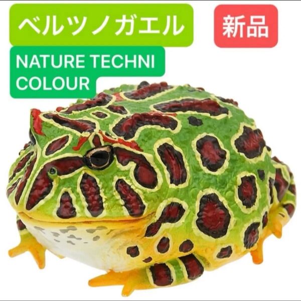 ベルツノガエル ベルツノガエル ウーパールーパーとアカメアマガエルとマルメタピオカガエルいきもんガシャポンガチャガチャカプセル