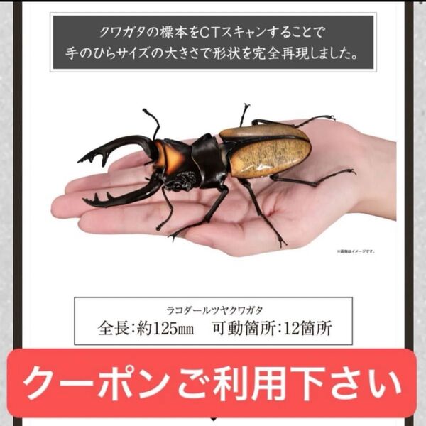 ラコダールツヤクワガタ いきもの大図鑑くわがた09 バンダイ クワガタ フィギュアカプセルトイガシャポンガチャガチャバンダイ