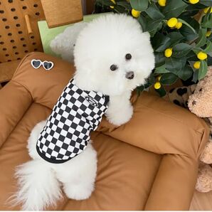 市松模様が可愛い!わんちゃん、猫ちゃん タンクトップ!M