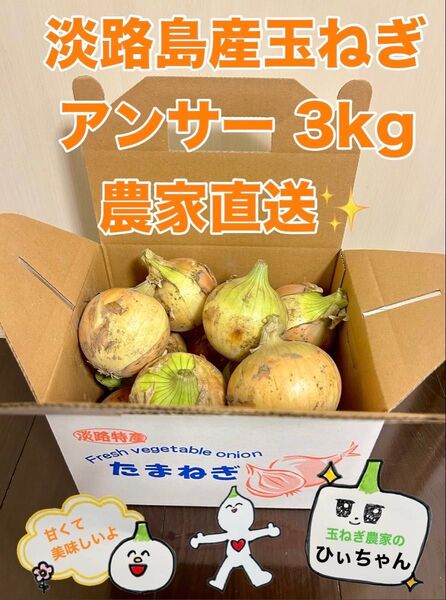 淡路島産熟成新玉ねぎアンサー中生3kg 農家直送