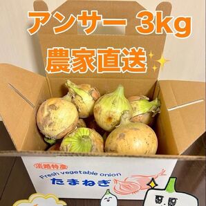淡路島産熟成新玉ねぎアンサー中生3kg 農家直送