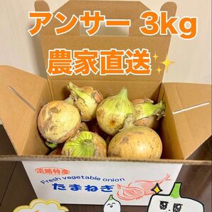 淡路島産熟成新玉ねぎアンサー中生3kg 農家直送