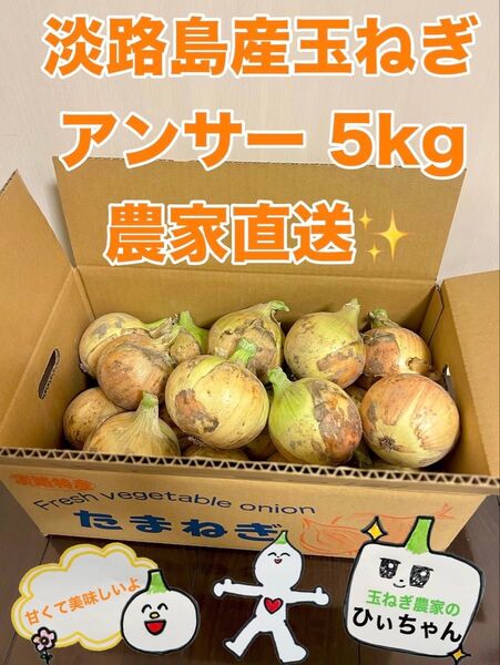 淡路島産熟成新玉ねぎアンサー中生5kg 農家直送