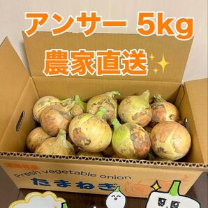 淡路島産熟成新玉ねぎアンサー中生5kg 農家直送