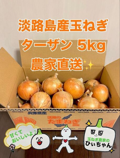 (秀品)淡路島産完熟玉ねぎ中生ターザン5kg 農家直送