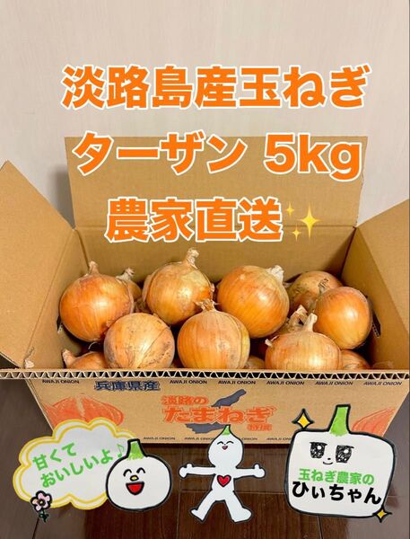(秀品)淡路島産完熟玉ねぎ中生ターザン5kg 農家直送