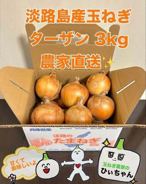 (秀品)淡路島産完熟玉ねぎ中生ターザン3kg 農家直送