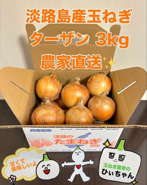 (秀品)淡路島産完熟玉ねぎ中生ターザン3kg 農家直送